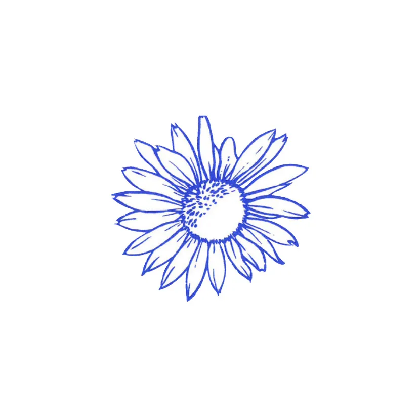 Bellis Perennis - Artist